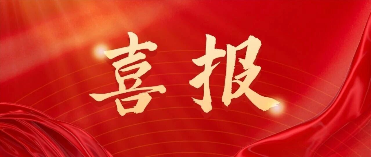 喜报丨我校斩获“2025年合肥市中等职业学校技能大赛”多个奖项