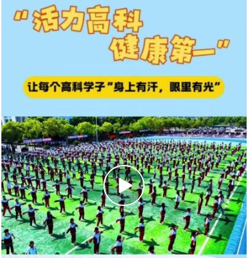 五月深耕结硕果 高科实干护青苗——合肥高科经济技工学校五月“985”工作体系纪实